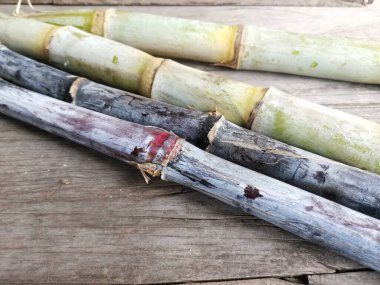 Kırmızı ve yeşil şeker konisi