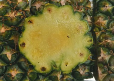 Ananas tropikal meyve arkaplanı