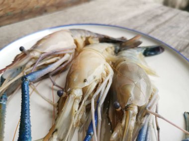 Ahşap arka planda taze karides deniz ürünleri