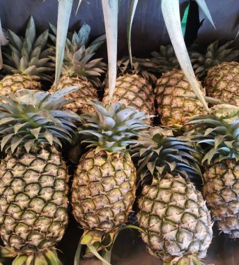 Ananas tropikal meyvesine yakın.