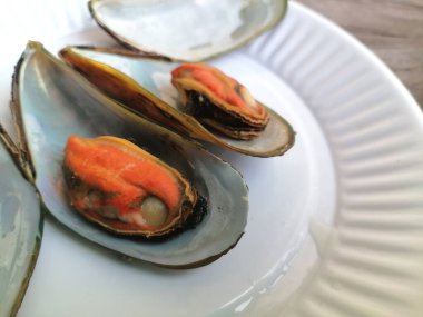 Taze çiğ midyeler, deniz ürünleri.