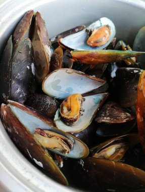 Taze çiğ midyeler, deniz ürünleri.