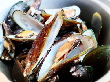 Taze çiğ midyeler, deniz ürünleri.