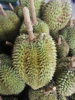 Durian tropikal meyvesine yaklaş