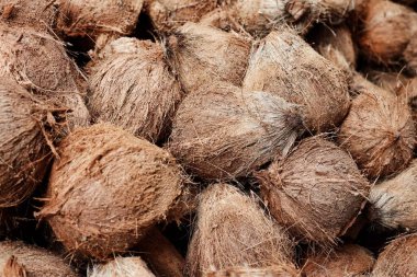 Hindistan cevizi sütü yapmak için tropikal meyveler