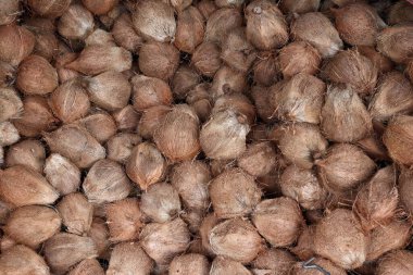 Hindistan cevizi sütü yapmak için tropikal meyveler