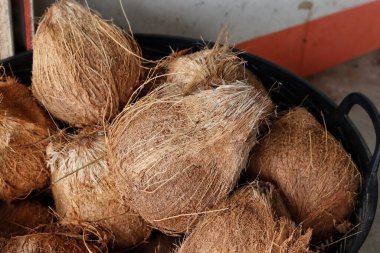 Hindistan cevizi sütü yapmak için tropikal meyveler