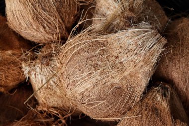 Hindistan cevizi sütü yapmak için tropikal meyveler