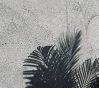 Yapraklarda gri arka plan gölgesi