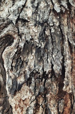 Kahverengi ahşap arkaplan veya doku