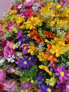 Papatya çiçeğinin güzelliği