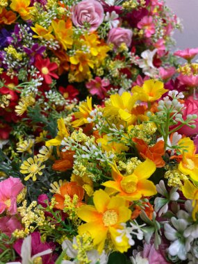 Papatya çiçeğinin güzelliği