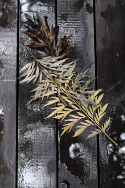 Kahverengi kurumuş yaprakların güzelliği