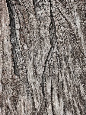 Kahverengi ahşap arkaplan veya doku