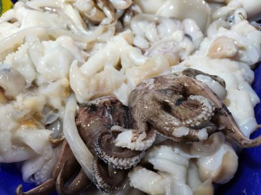 Taze kalamar deniz ürünleri yakın çekim