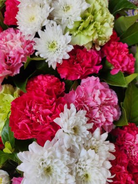 Karanfil çiçeklerinin arkaplanını kapat