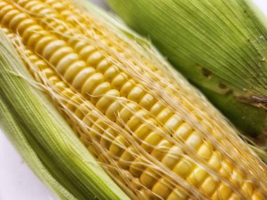 Sarı mısır tohumunu kapat.