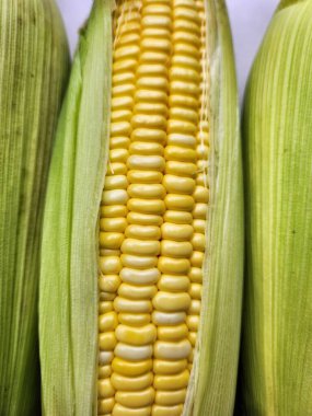 Sarı mısır tohumunu kapat.