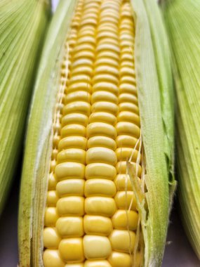 Sarı mısır tohumunu kapat.