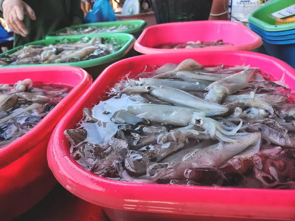 Tayland pazarında taze çiğ kalamar.