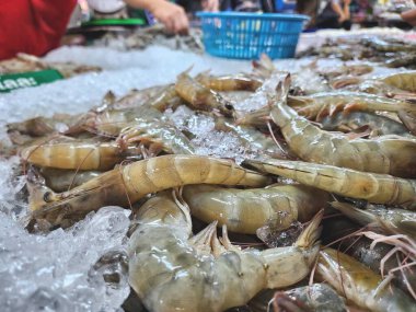 Tayland pazarında taze karides