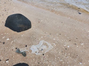 Denizde plastik torbalar