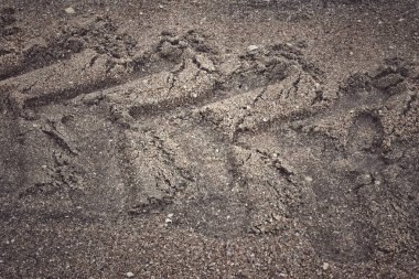 Toprak yol arkaplanı veya desen üzerindeki tekerlek izleri