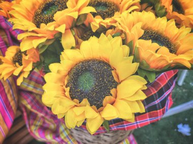 Sarı kadife çiçekleri.