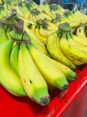 Kırmızı arka planda muzlu tropikal meyve