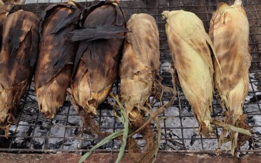 Kızarmış mısırın yakınına.