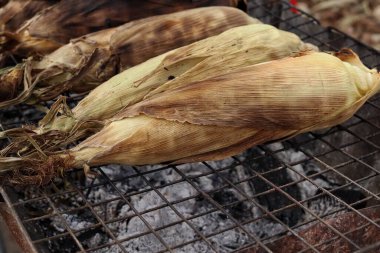 Kızarmış mısırın yakınına.