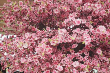 Kiraz çiçeklerinin güzelliği suni çiçekler