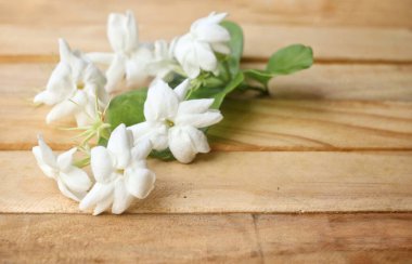 Yapraklı yasemin çiçeklerinin güzelliği