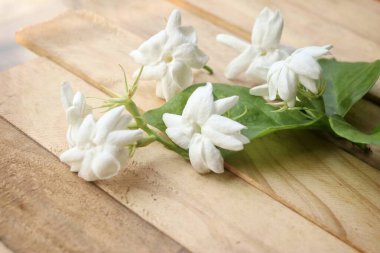 Yapraklı yasemin çiçeklerinin güzelliği