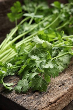 Kişniş baharatlı bitkiyi kapat.