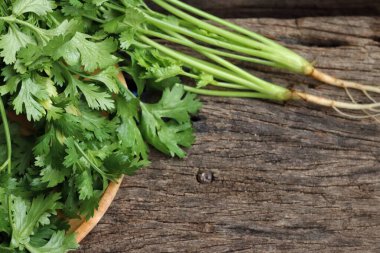 Kişniş baharatlı bitkiyi kapat.