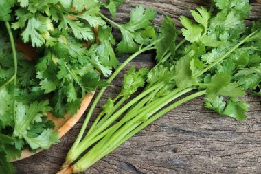 Kişniş baharatlı bitkiyi kapat.