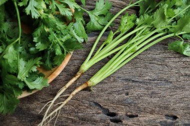 Kişniş baharatlı bitkiyi kapat.