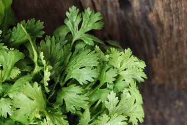 Kişniş baharatlı bitkiyi kapat.