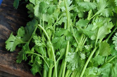 Kişniş baharatlı bitkiyi kapat.