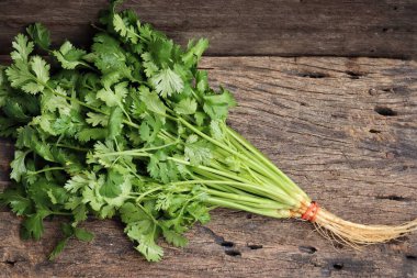 Kişniş baharatlı bitkiyi kapat.