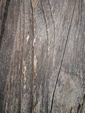 Kahverengi tahta arka plan veya doku