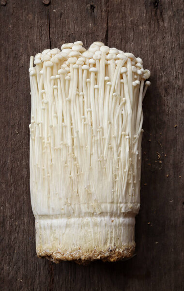 Golden needle mushroom close up