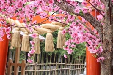 Japon kiraz çiçeklerinin güzelliği suni çiçekler