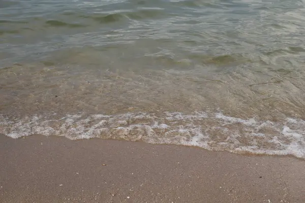 Dalgaların plajını kapatın.