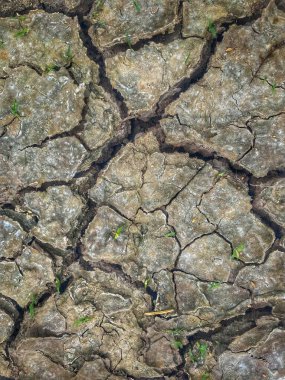 Eko çatlamış kuru zemin dokusu