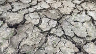 Eko çatlamış kuru zemin dokusu