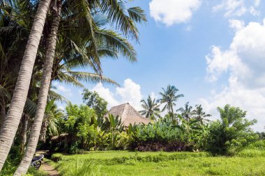 A traditional house nested in lush nature near Ubud in Bali, Indonesia. 