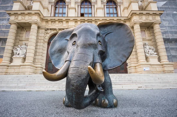 Elefantenstatue Vor Dem Kunsthistorischen Museum Maria Theresien Platz Wien Österreich — Stockfoto
