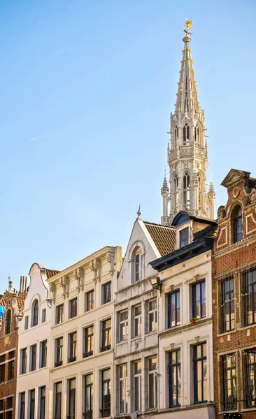 Будинки Століття Брюссельському Гранд Плейс Вежею Ратуші Задньому Плані — стокове фото